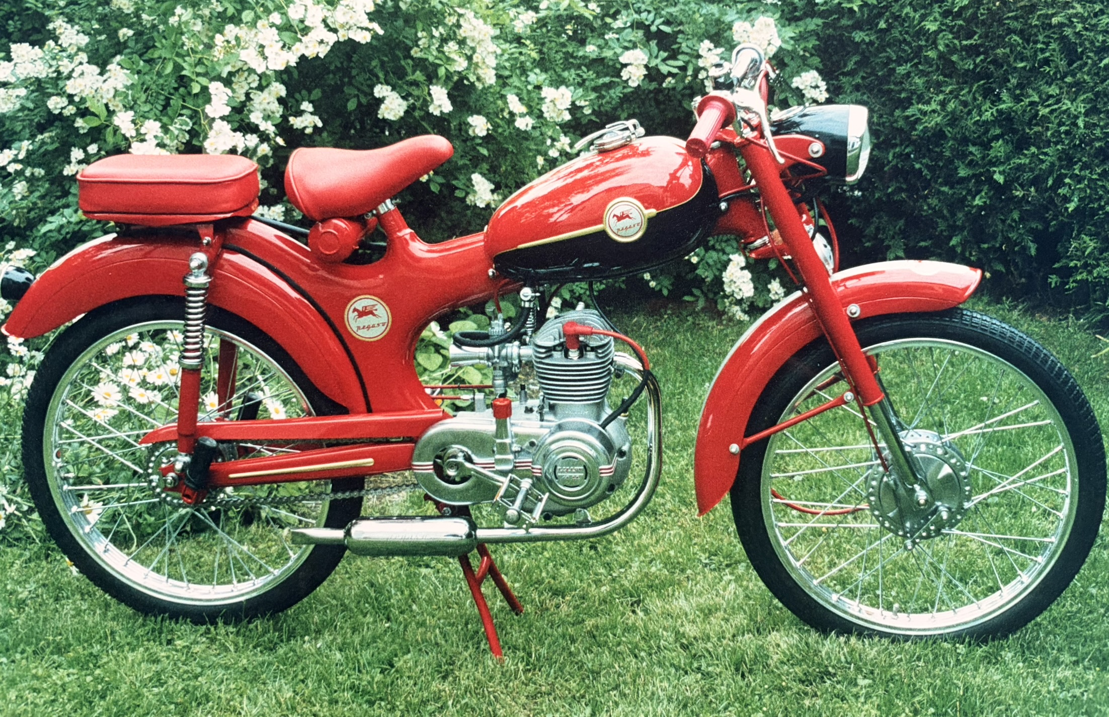 Pegaso