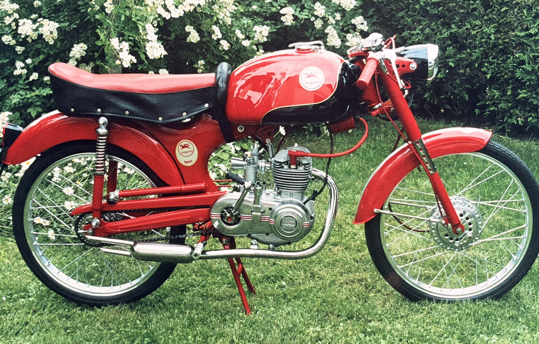 Pegaso_sport