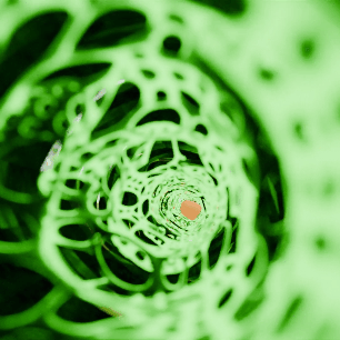 The Eye